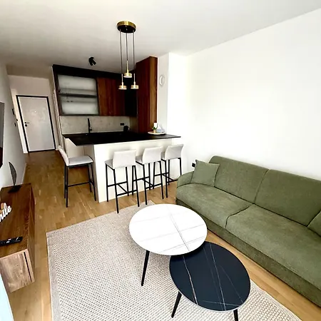 Pacifik Lux & Private Garage Daire Saraybosna
